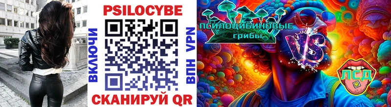Галлюциногенные грибы MAGIC MUSHROOMS  Чердынь 